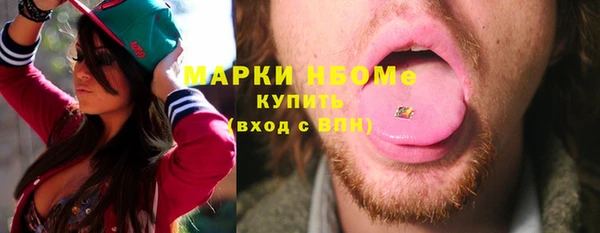 сатива Бородино