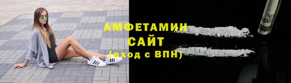 сатива Бородино