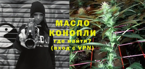 сатива Бородино