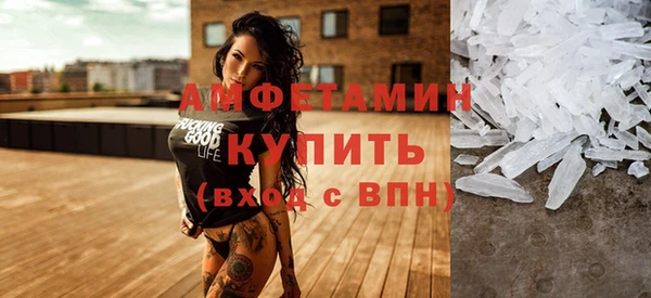 сатива Бородино