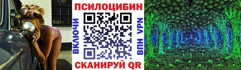 Купить  Мостовской  Псилоцибиновые грибы Psilocybe 